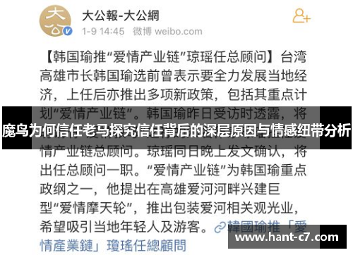 魔鸟为何信任老马探究信任背后的深层原因与情感纽带分析