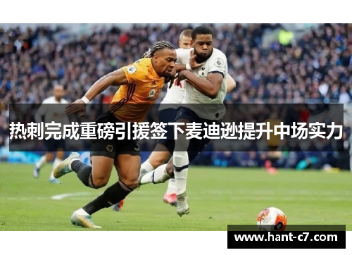 热刺完成重磅引援签下麦迪逊提升中场实力