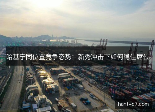 哈基宁同位置竞争态势：新秀冲击下如何稳住席位