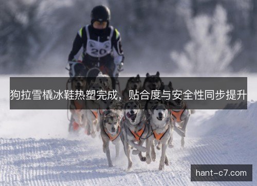 狗拉雪橇冰鞋热塑完成，贴合度与安全性同步提升